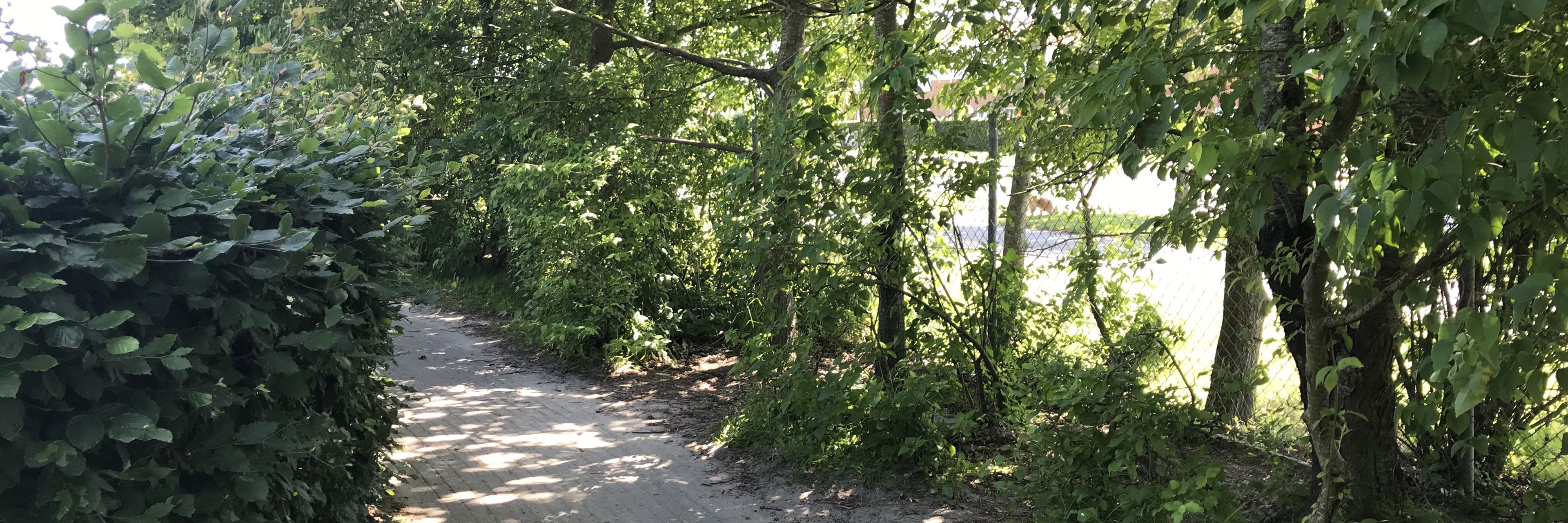 Sti i Børnehuset Himmeldalen