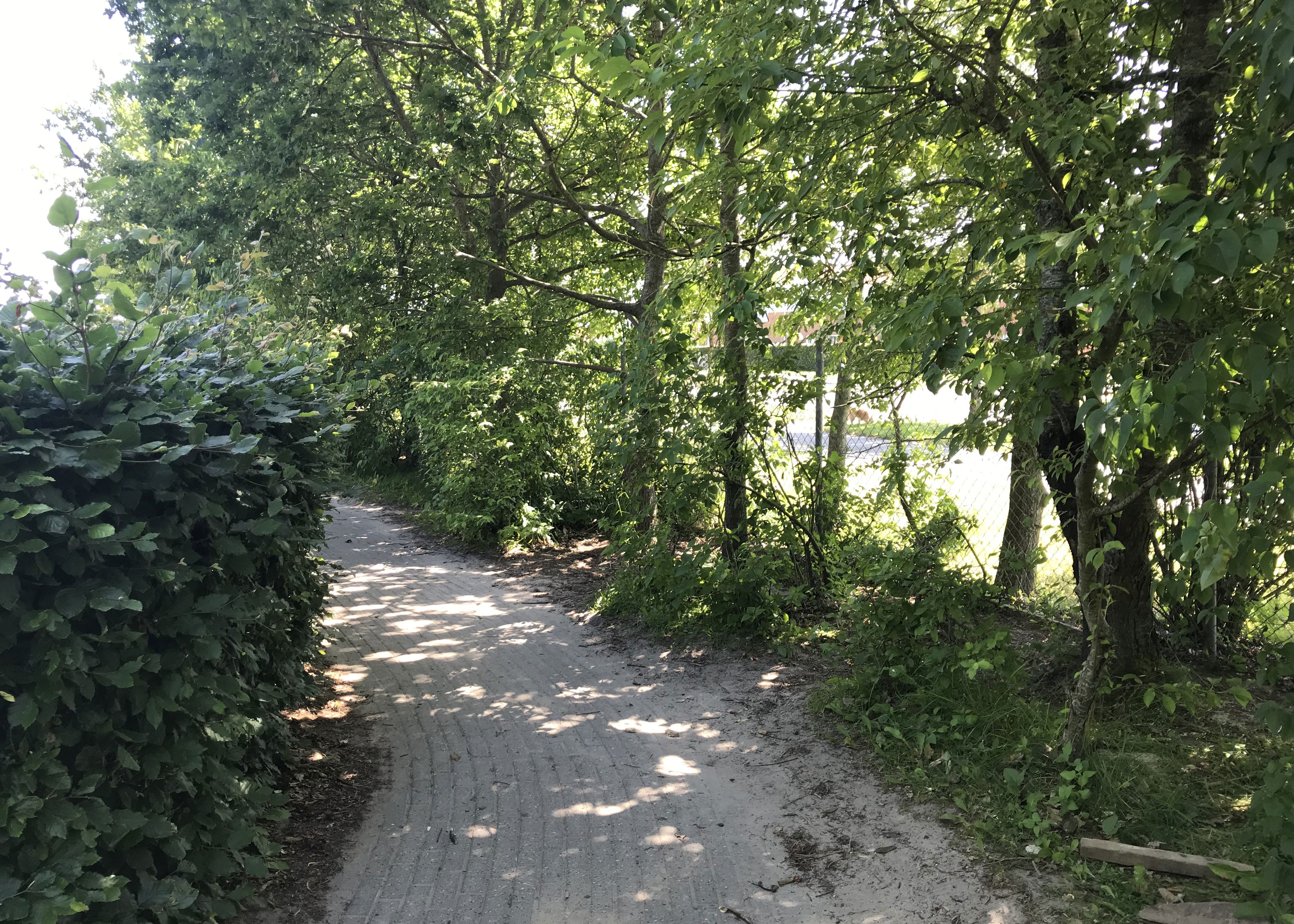 Sti i Børnehuset Himmeldalen