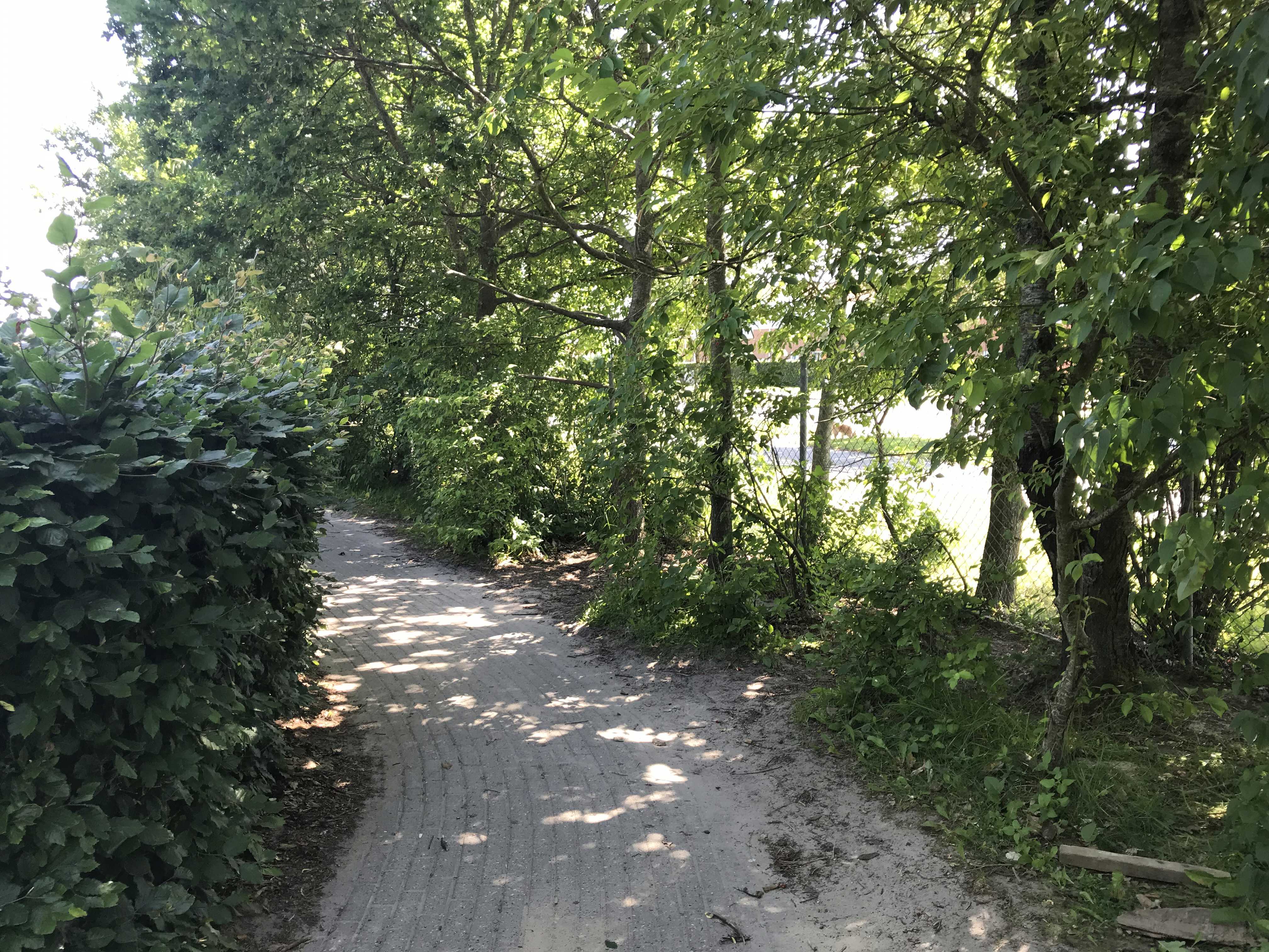 Sti i Børnehuset Himmeldalen